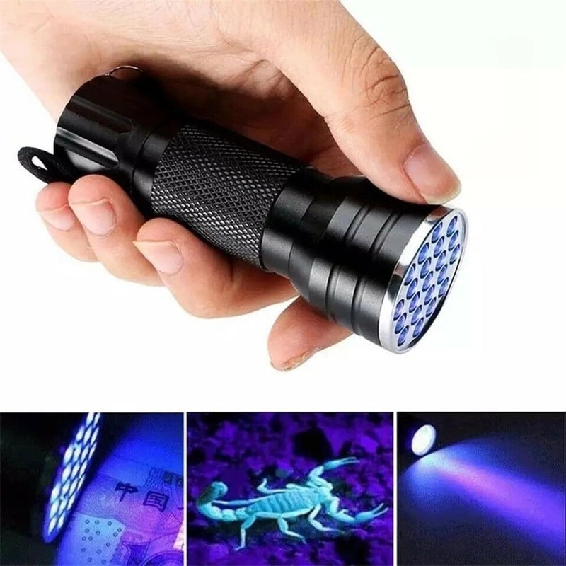 Portable 21 LED UV Ultraviolet Flashlight Blacklight 395 NM Mini Torch 1