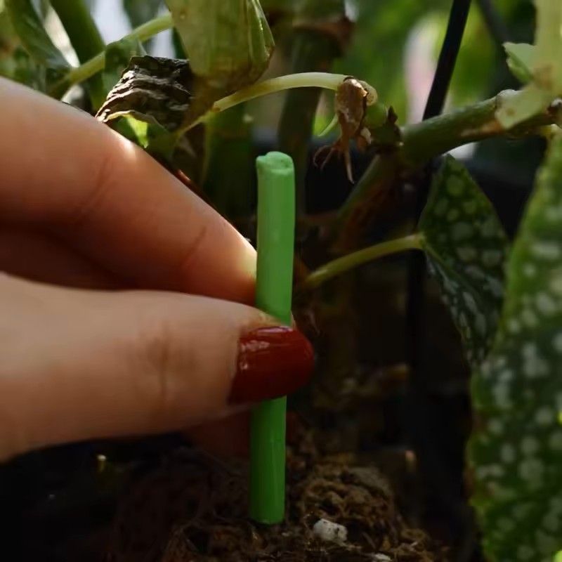 Plant Slow Release Nutrient Sticks For Indoor Potted Plants 1