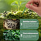 Plant Slow Release Nutrient Sticks For Indoor Potted Plants 3