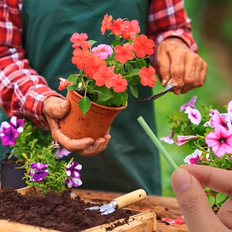 Plant Slow Release Nutrient Sticks For Indoor Potted Plants 5