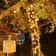 Outdoor Solar LED Fairy String Lights 1