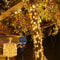 Outdoor Solar LED Fairy String Lights 1