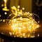 Outdoor Solar LED Fairy String Lights 9