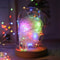 Battery Operated Mini Fairy String Lights 1