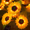 Solar Sunflower Garden Stake Lights 6