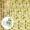Battery Operated Ivy Vine String Lights 0