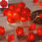 White Rose Flower String Lights 8