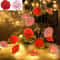 White Rose Flower String Lights 10