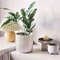 Striped Circular Plastic Flower Pot For Indoor And Outdoor Decoration 3