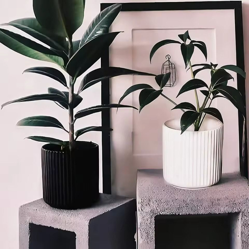 Striped Circular Plastic Flower Pot For Indoor And Outdoor Decoration 4