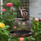 LargeCapacity Metal Bird Feeder SquirrelProof Outdoor Hanging Feeder 3