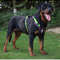 Reflective Tactical Dog Harness Waterproof 1680D Oxford Vest For Medium Large Dogs 14