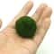 3 To 4cm Marimo Moss Balls Aquarium Ornament Green Algae Ball Decor 3