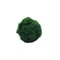 3 To 4cm Marimo Moss Balls Aquarium Ornament Green Algae Ball Decor 4