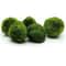 3 To 4cm Marimo Moss Balls Aquarium Ornament Green Algae Ball Decor 5