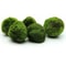 3 To 4cm Marimo Moss Balls Aquarium Ornament Green Algae Ball Decor 5