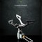 Ultralight Titanium Camping Gas Stove BRS 3000T Portable Outdoor Burner 6