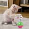Interactive Cat Toy Set Mouse Tumbler And Teasing Toys For Cats And Small Pets 5