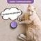 Dog Communication Buttons Voice Recording Training Buzzer For Talking Pets 7