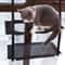 Cat Hammock Window Bed Hanging Sunny Seat With Strong Suction Cups Double Decker Design 1