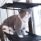 Cat Hammock Window Bed Hanging Sunny Seat With Strong Suction Cups Double Decker Design 10