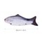 Interactive Floppy Fish Cat Toy USB Rechargeable Realistic Moving Pet Toy 2