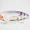Interactive Floppy Fish Cat Toy USB Rechargeable Realistic Moving Pet Toy 4