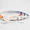 Interactive Floppy Fish Cat Toy USB Rechargeable Realistic Moving Pet Toy 8