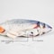 Interactive Floppy Fish Cat Toy USB Rechargeable Realistic Moving Pet Toy 8