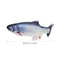 Interactive Floppy Fish Cat Toy USB Rechargeable Realistic Moving Pet Toy 9
