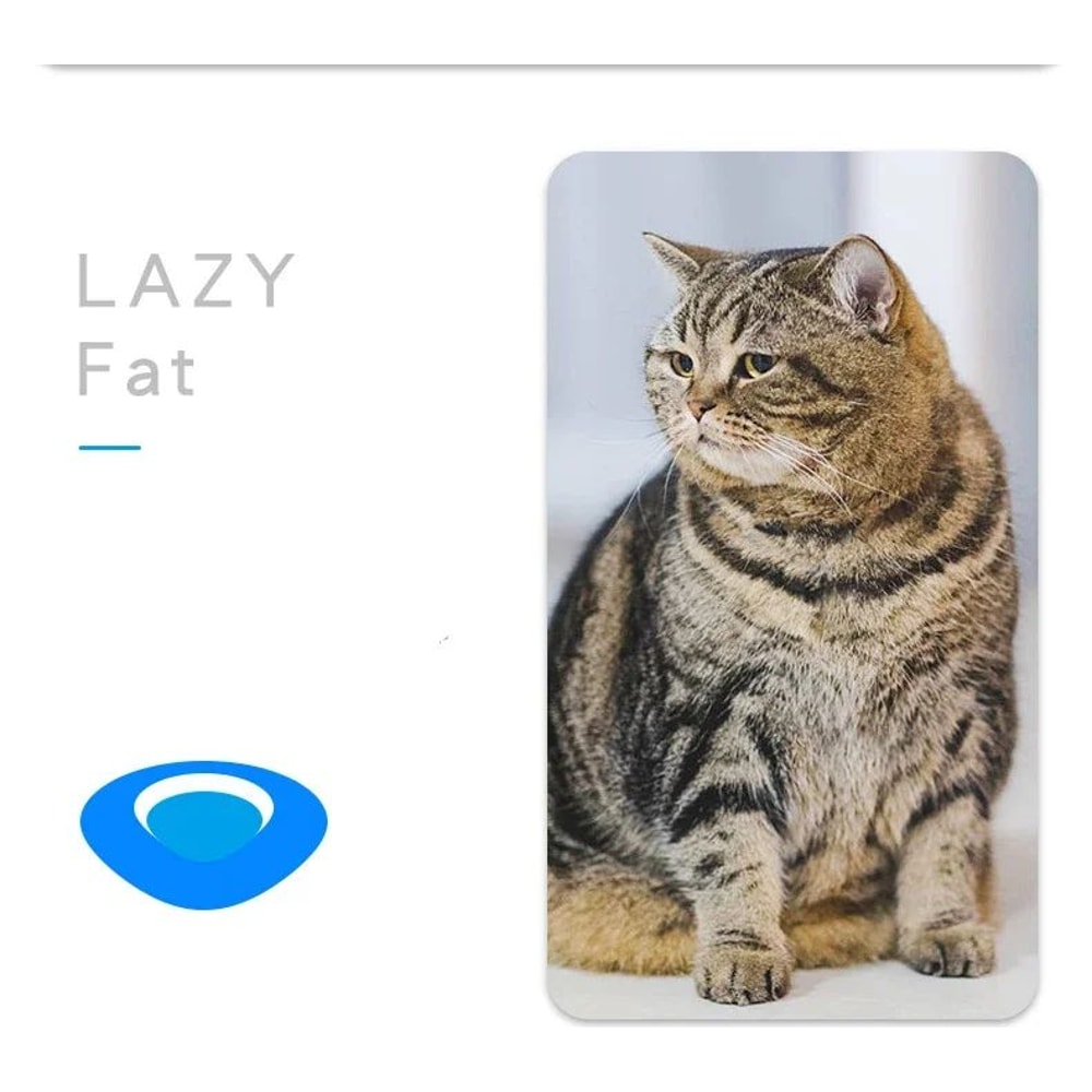 Mini Electric Ladybug Cat Toy Interactive Walking Insect Pet Toy 8