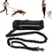 Hands Free Dog Leash For Running And Walking With Reflective Waist Bag And Elastic Belt 0