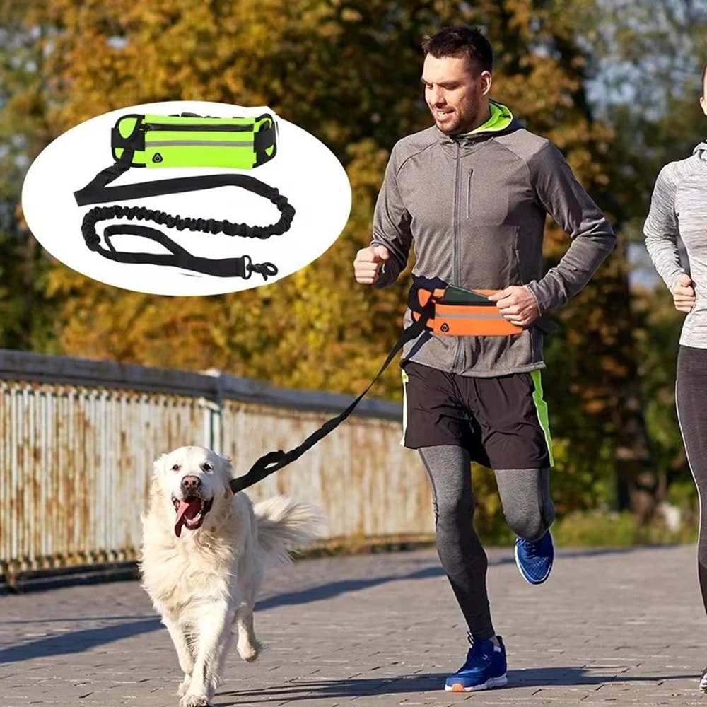 Hands Free Dog Leash For Running And Walking With Reflective Waist Bag And Elastic Belt 2