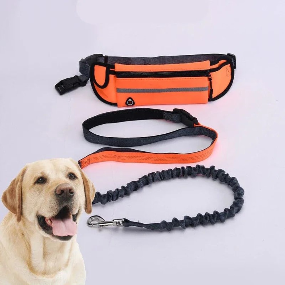 Hands Free Dog Leash For Running And Walking With Reflective Waist Bag And Elastic Belt 4