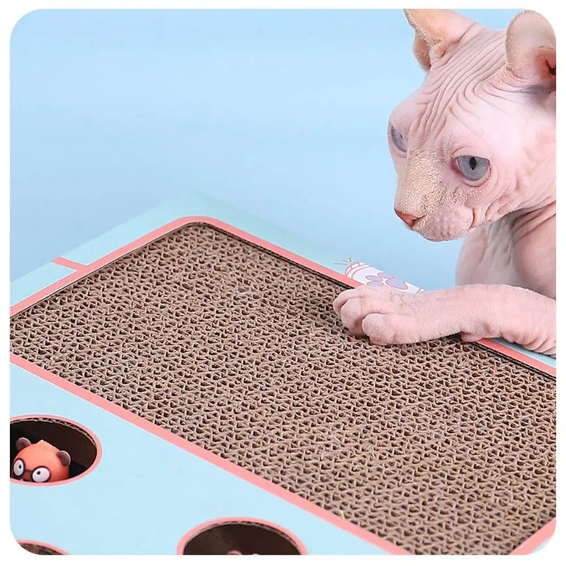 Whack A Mole Cat Toy Interactive Scratching Board And Claw Grinding Play Box 9