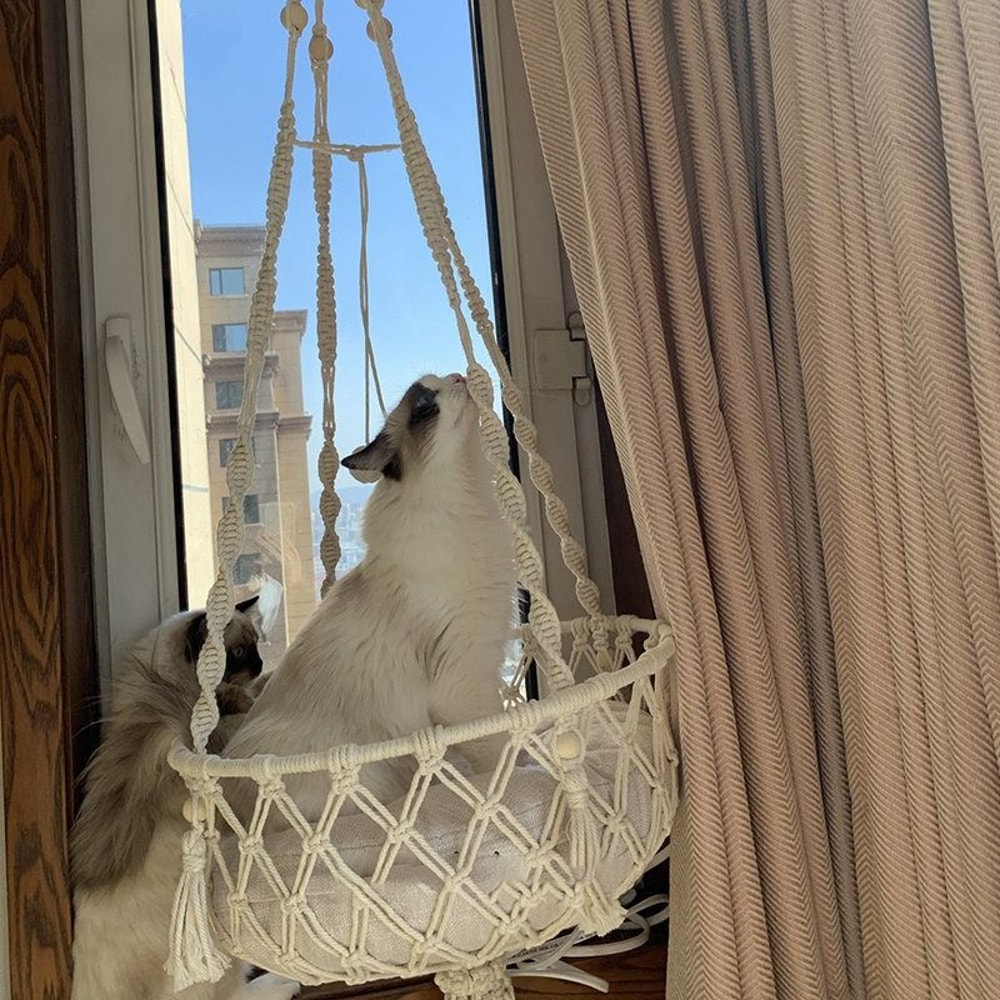 Hand Woven Cotton Rope Cat Hammock Hanging Pet Swing Basket For Indoor Use 8