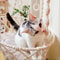 Hand Woven Cotton Rope Cat Hammock Hanging Pet Swing Basket For Indoor Use 10