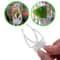 Bird Food Holder Clip Parrot Fruit And Vegetable Feeder For Small Pet Cages 2
