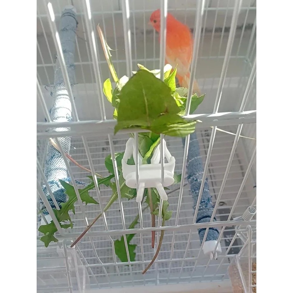 Bird Food Holder Clip Parrot Fruit And Vegetable Feeder For Small Pet Cages 8