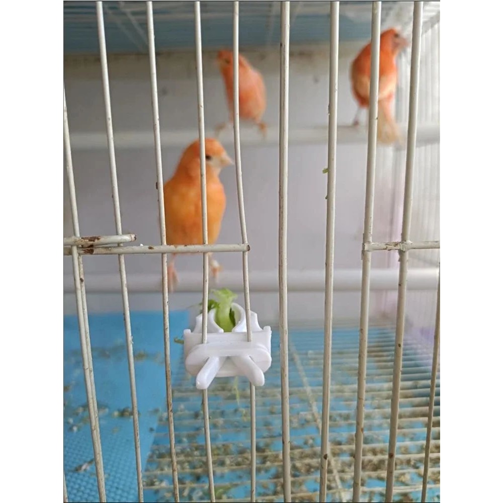 Bird Food Holder Clip Parrot Fruit And Vegetable Feeder For Small Pet Cages 9
