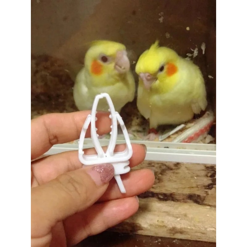 Bird Food Holder Clip Parrot Fruit And Vegetable Feeder For Small Pet Cages 12