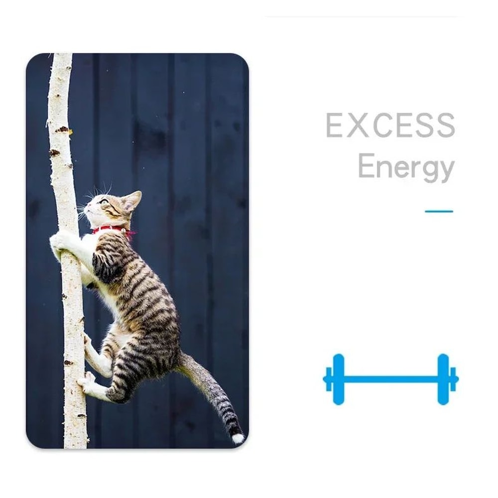 Electric Bug Cat Toy Automatic Mini Robot Insect With Catnip For Cats 8