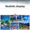 3D Aquarium Background Sticker Double Sided Fish Tank Landscape Decoration 4
