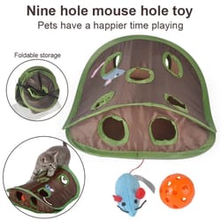 folding nine hole cat tunnel toy with plush mouse and grab ball