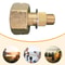 LPG Gas Cylinder Stove Connector Adapter 2