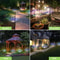 Solar Firework LED Garden Light 5