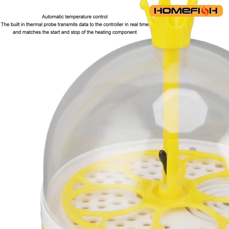 Mini Automatic Egg Incubator 2