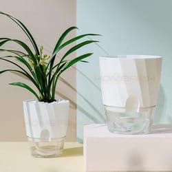 self watering transparent flower pot
