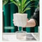 Self Watering Transparent Flower Pot 2
