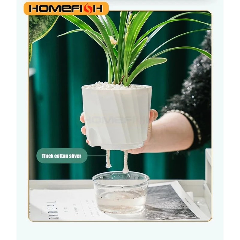 Self Watering Transparent Flower Pot 2